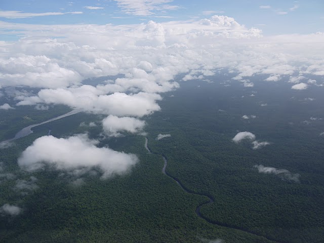 Aerial_pic_Amazonia2