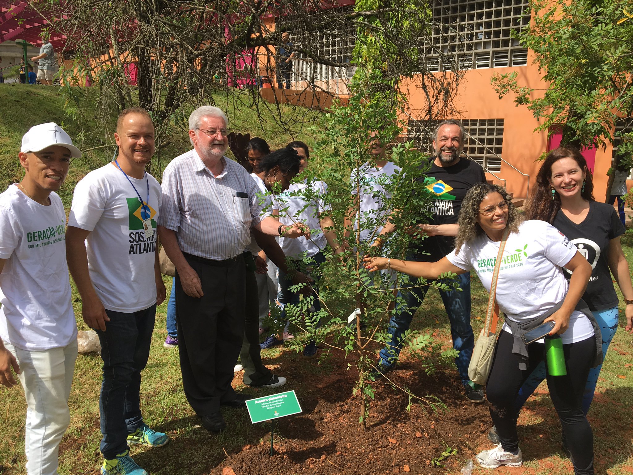 Centenas de árvores foram plantadas por voluntários na zona sul de São Paulo