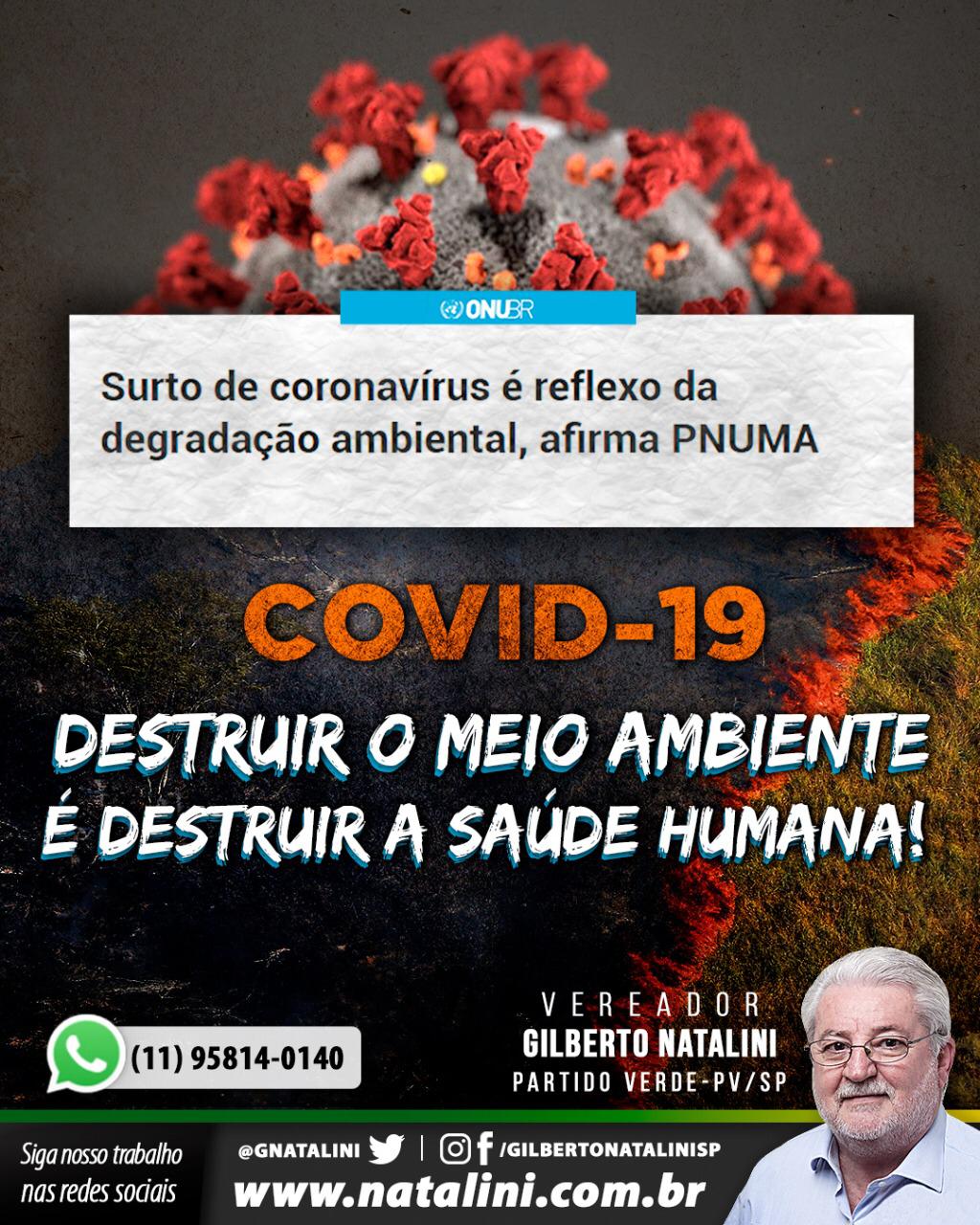 Banner: Coronavírus e o meio ambiente.